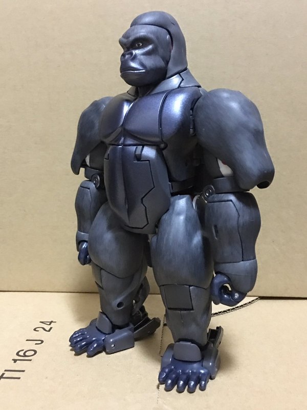 MP 32 Masterpiece Optimus Primal   In Hand Photos Surface On Twitter  (59 of 81)